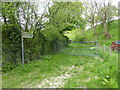 The bridle path at Mutton Dingle