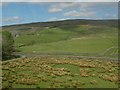 SD7895 : View over Upper Wensleydale by Stephen Craven