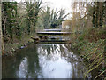 River Colne backwater at Drayton Ford