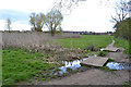 Wet ground with reedmace on the playing fields, Binley, Coventry