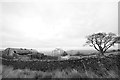 SE1444 : Barn and tree at Crag Top farm by John Winder