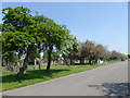 Anfield Cemetery