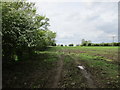 Muddy field near Willoughby on the Wolds