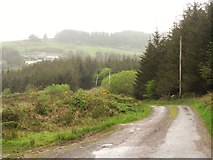 W2341 : Country lane, Carhoogarriff by Gordon Hatton