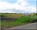 Newly planted orchard, Stembridge