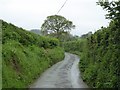 Road from Cobbaton to Shilstone Cross