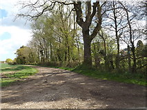 TM3987 : Bridleway to Church Road by Geographer