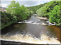 White water on the River Tawe, Ystradgynlais