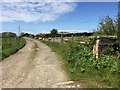 Track leading to Morfa Farm