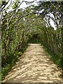 SP1742 : Natural arch, Hidcote Manor Gardens by Philip Halling