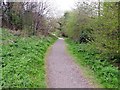 Path in Portland Park