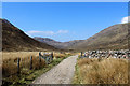 NN1364 : West Highland Way leaving Tigh-na-sleubhaich by Chris Heaton