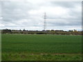 Crop field and pylon near Nansfield