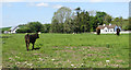 M2079 : Stony pasture by Robert Ashby