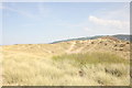 Sand Dunes at Ffrith Beach