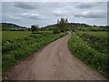 Haymoor Drove, looking north