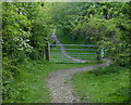 The former towpath of the Chesterfield Canal