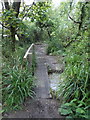 Ringstead: footbridge on the Osmington Mills path