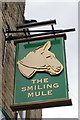 The Smiling Mule