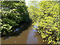 River Colne - viewed from Footbridge off Colne Road