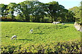 Farmland near Knockstocks