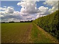 Footpath across fields