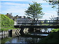 The New River north of Southbury Road, EN1 (3)