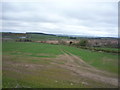 Crop field near Brotherstone