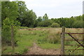 Western part of Nant Philkins Fields, Oakdale