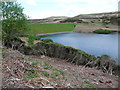 SD9634 : Rhododendrons and dam of Walshaw Dean Upper Reservoir, Wadsworth by Humphrey Bolton
