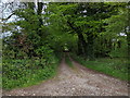 Track leading to Staceys Cottage, from Sleight Lane