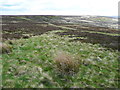 SD9734 : Grassy strip through the heather, Wadsworth Moor by Humphrey Bolton