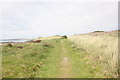 The Anglesey Coastal Path at Porth Nobla