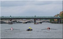 TQ2475 : Rowing on the Thames, Putney by Jim Barton