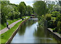 Chesterfield Canal at Shireoaks