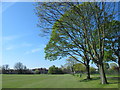 (Part of) Enfield Playing Fields