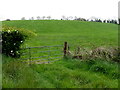 Cormore Townland