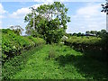 Farm track and footpath