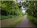 National  Cycle Route next to the Kennet and Avon canal