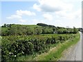 North-eastern slopes Forthill