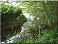 Tributary of the River Chet south of Loddon