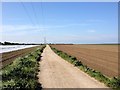 Thatchers Lane, Cliffe