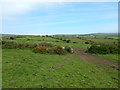 Farmland towards Great Bosullow