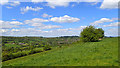 View of the Goyt Valley from Brook Bottom