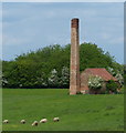 SK7392 : Building and chimney next to the Chesterfield Canal by Mat Fascione