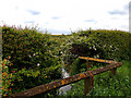 Ditch near Great Smeaton