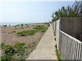 Path along the shore looking west