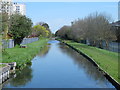 The New River north of Carterhatch Lane