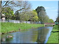 The New River south of Hoe Lane