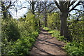 Footpath by the River Great Ouse